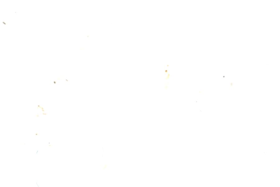 Image 36